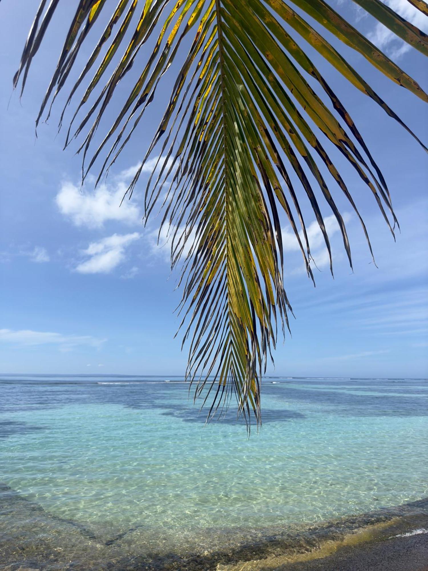 Unique : Pieds Dans L'Eau Face Au Lagon Sainte-Anne  Kültér fotó